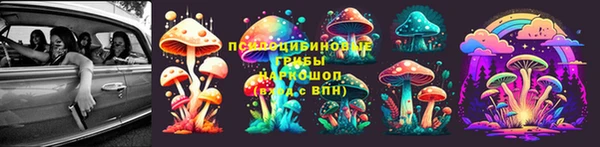 ГАЛЛЮЦИНОГЕННЫЕ ГРИБЫ Армянск