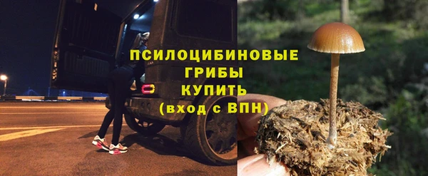 ГАЛЛЮЦИНОГЕННЫЕ ГРИБЫ Армянск