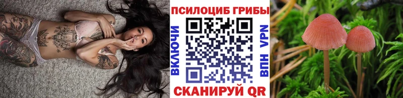 Купить закладки  Кремёнки  Псилоцибиновые грибы прущие грибы 